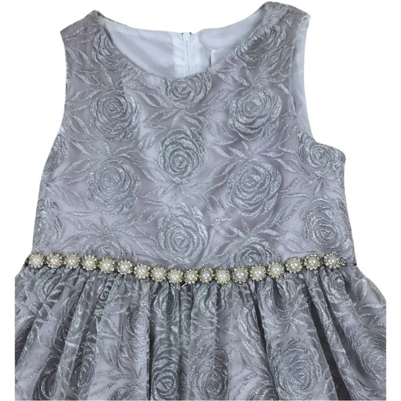 RARE EDITIONS Silver Tulle Lace Floral Princess Formal Layered Dress size 6X - Picture 2 of 16